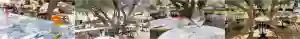Le restaurant - La Maison Gely - Clapiers - restaurant a faire CLAPIERS